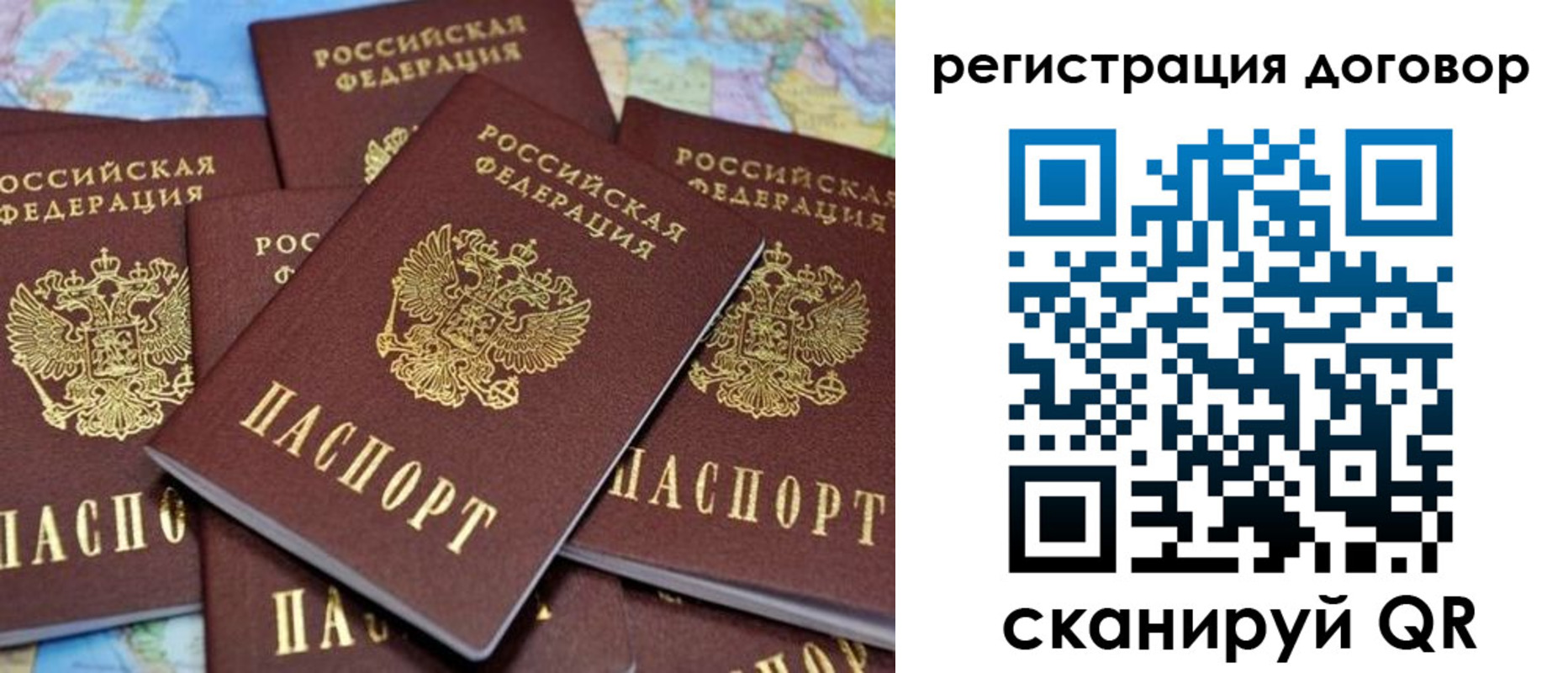 прописка гарантия в Звенигороде